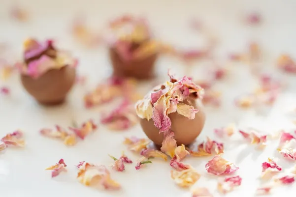 카지노 하이티 윈 안드로이드/iOS 앱